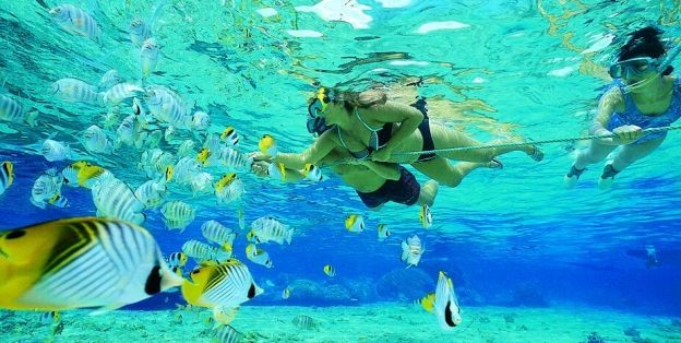 Snorkeling in Plytra